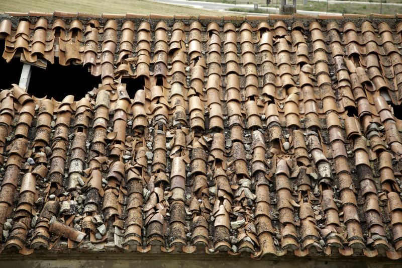 Spanish Tile Roof Repair
